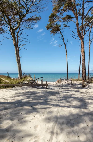 Paysage Plage Capturé Sur Côte Solitaire Mer Baltique Mecklembourg Poméranie — Photo