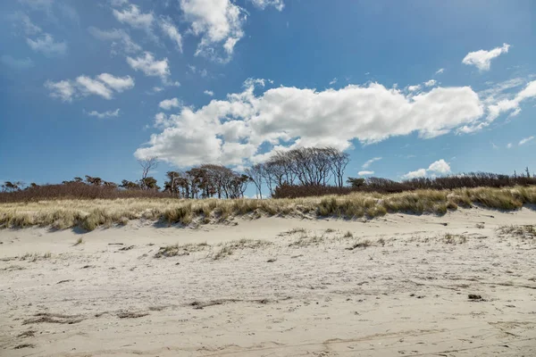 Tag der Ostsee am Strand — Stockfoto