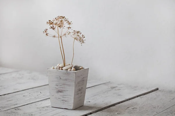 在白色的木头上的一个木制花瓶里 有着干燥花朵的静谧生活 有复制的空间 — 图库照片
