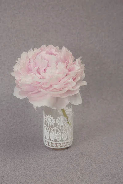 Stilleben Med Blommande Rosa Pion Dekorativ Vintage Vas Perfekt För — Stockfoto