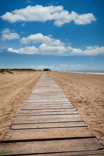 wooden trail to cool rustic bar on a beach in Andalusia, south of Spain with the Atlantic Ocean in the background, the beachbar is called Gurugu and is located close to El Palmar