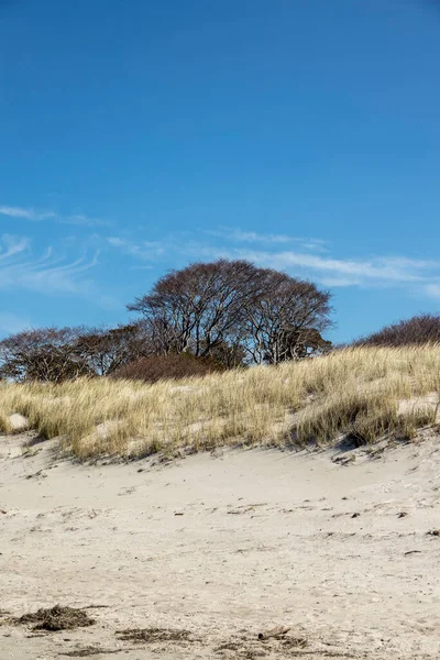 Paisaje Playa Capturado Solitaria Costa Del Mar Báltico Mecklemburgo Vorpommern — Foto de Stock