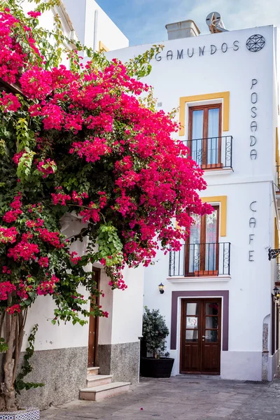 Sumptuous Flowers Narrow Alleys One White Villages Andalusa South Spain — Stock Photo, Image