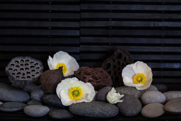 Flower Arrangement Zen Style Pebble White Anemone Flowers Black Background — Stock Photo, Image