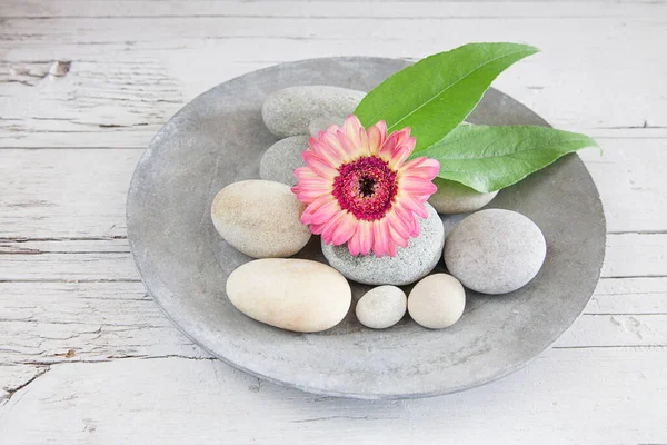 Blumenarrangement Zen Stil Mit Gänseblümchen Und Blättern Auf Einer Betonplatte — Stockfoto