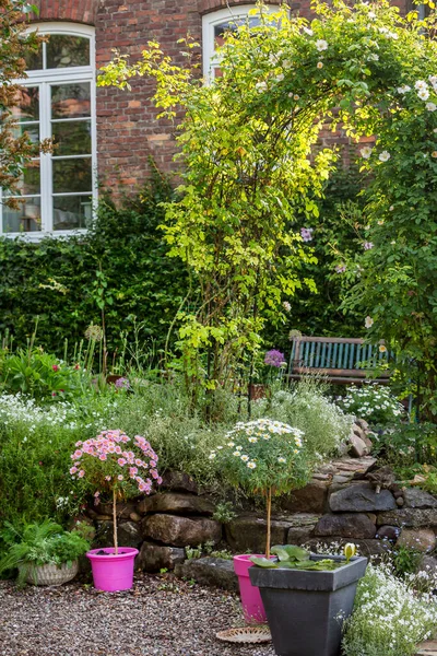 Blühende Blumen Beeten Und Töpfen Späten Frühling Eingefangen Meinem Eigenen — Stockfoto