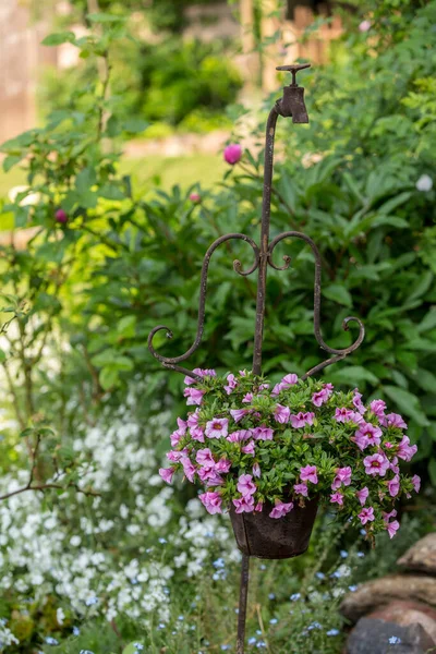 Flores de verão em vaso vintage — Fotografia de Stock