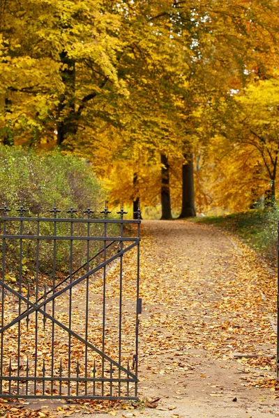 Impressões Outono Dourado Capturado Parque Com Portão Ferro Velho Perfeito — Fotografia de Stock
