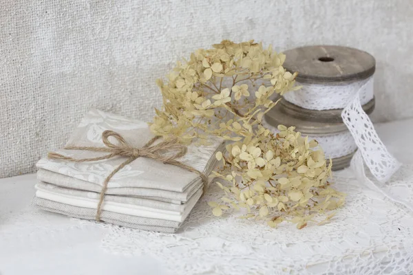 Shabby Chic Nostalgia Natureza morta — Fotografia de Stock