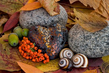Kahverengi Kalpli Autum Still Life