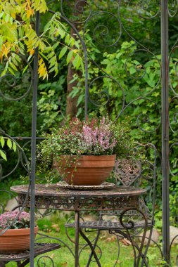 Heather ile sonbahar natürmortu