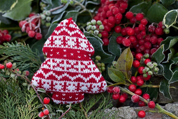 Decoración de Navidad al aire libre con bayas y hojas — Foto de Stock