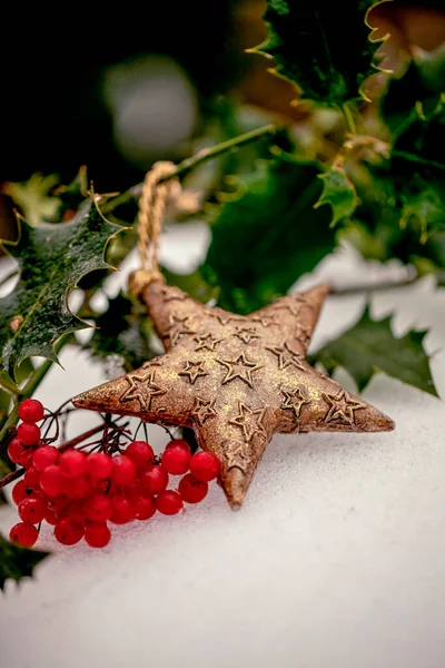 Ornamento de estrela de Natal com Ilex — Fotografia de Stock