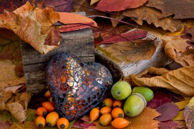 Kahverengi Kalpli Autum Still Life