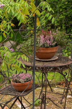 Heather ile sonbahar natürmortu