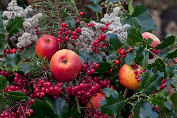 Zimowa dekoracja jabłkami i jagodami — Zdjęcie stockowe