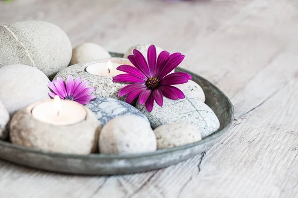 Zen flor naturaleza muerta con guijarros —  Fotos de Stock