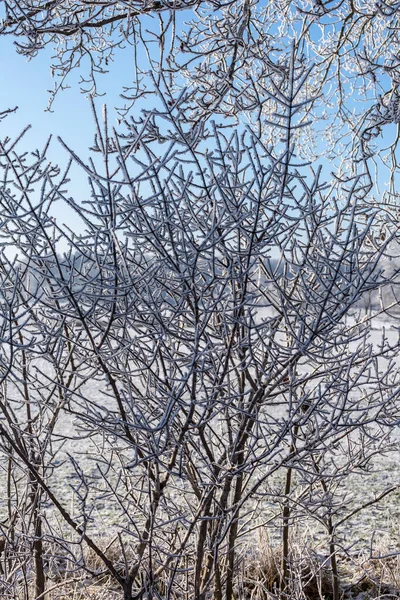 Idillio invernale nel nord della Germania — Foto Stock