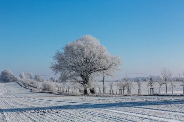 Kuzey Almanya 'da Kış Idyll