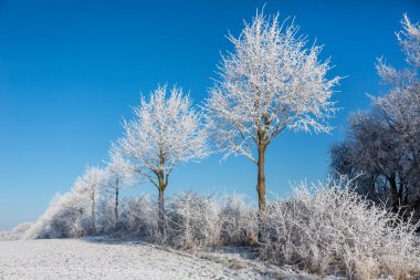 Kuzey Almanya 'da Kış Idyll