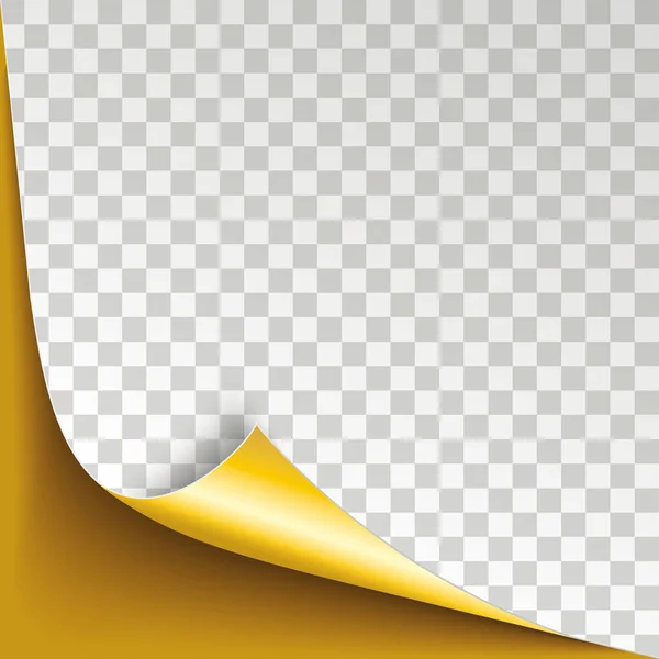Transparentní Kryt Zlatý Rolované Papíru — Stockový vektor