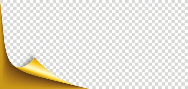 Golden Scrolled Corner Paper Cover Transparent Background — Stock Vector