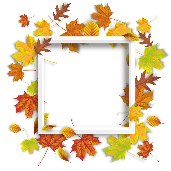 秋天的叶子与白色框架在白色背景 Eps10 矢量文件 — 图库矢量图片