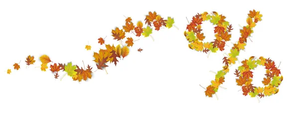 秋天的叶子与白色背景的百分比 Eps10 矢量文件 — 图库矢量图片