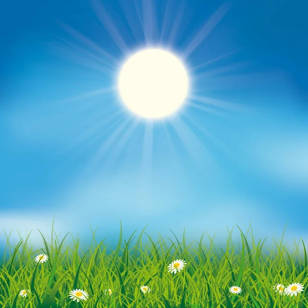 Pokrywa Zieloną Trawą Kwiatami Błękitne Niebo Słońcem Eps Plik Wektorowy — Wektor stockowy