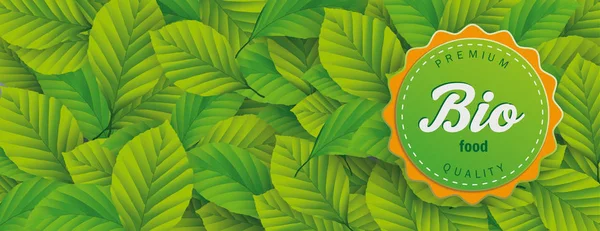 Βιολογικά τρόφιμα ετικέτα πράσινο φύλλα οξιάς κεφαλίδα — Διανυσματικό Αρχείο