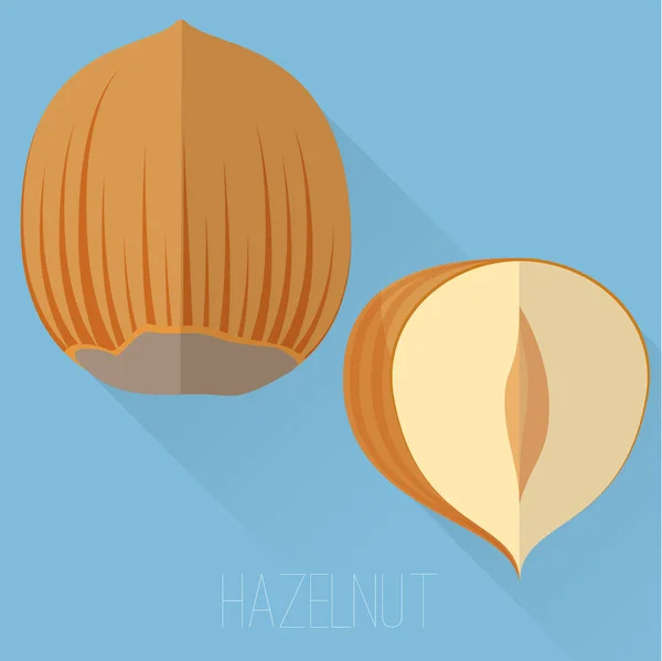 Hazelnut vector icon — Stock Vector