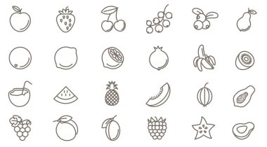  meyve vektör Icon set
