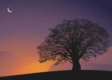 Ay ışığı gece tropikal ağaç