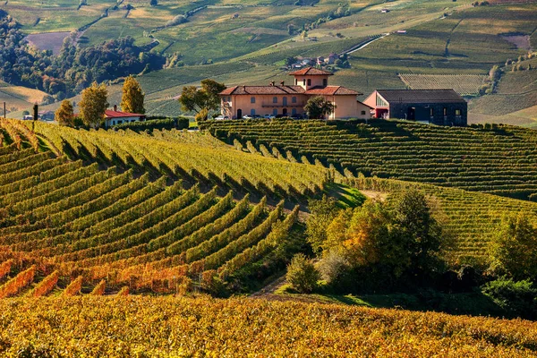 Casas Fazenda Vinhedos Outonais Nas Colinas Piemonte Norte Itália — Fotografia de Stock