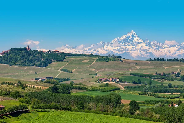 Wzgórz Langhe Zielonych Winnic Jako Snowy Szczyt Monviso Tle Pod — Zdjęcie stockowe