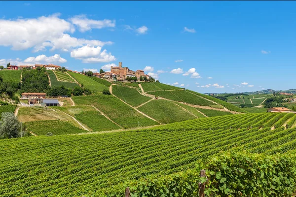 Zelená vinice na kopcích poblíž Castiglione Falletto, Itálie. — Stock fotografie