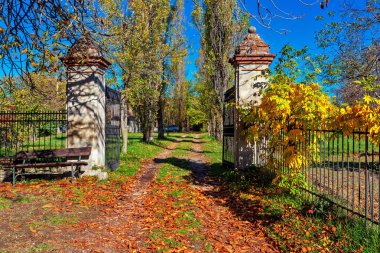 Kuzey İtalya'da sonbaharda düşen yapraklarla kaplı dar kırsal yol.