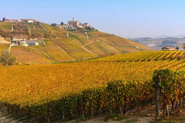 Vigneti autunnali colorati sulle colline delle Langhe . — Foto Stock