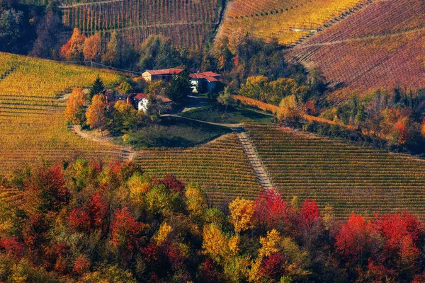 Сільські будинки на пагорбі серед осінніх виноградників в Італії. — стокове фото