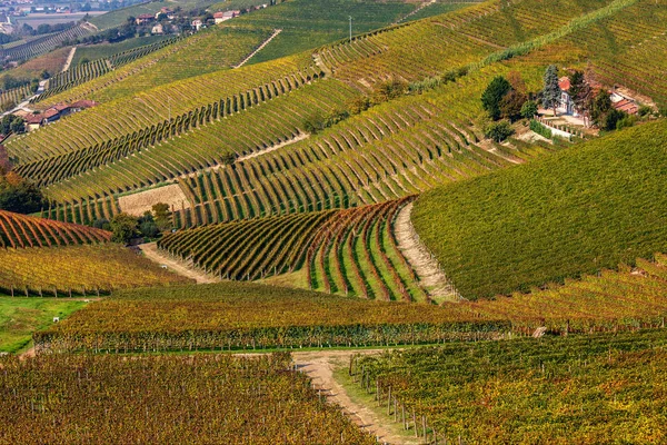 Pohoří a barvité vinice v Itálii. — Stock fotografie