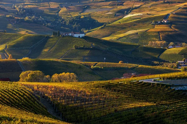 Viñedos y colinas otoñales de Langhe en Italia . — Foto de Stock