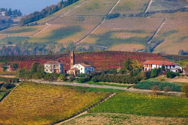 Pequena igreja paroquial entre vinhas outonais na Itália . — Fotografia de Stock