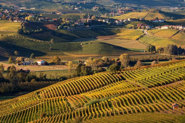 Autumnal vineyards on the hills near Serralunga d'Alba in Italy. — Stock Photo, Image