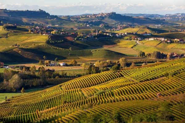 Jesienne winnice na wzgórzach w pobliżu Serralunga d'Alba we Włoszech. — Zdjęcie stockowe
