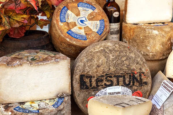 市場でのさまざまな種類のハードチーズ. — ストック写真
