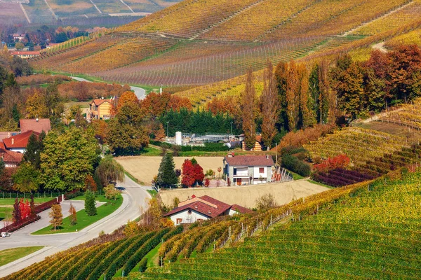 Rural houses among autumnal vineyards in Italy. — Stockfoto