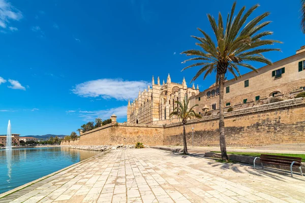 Katedralen Santa Maria Blå Himmel Sett Utifrån Parc Mar Palma — Stockfoto
