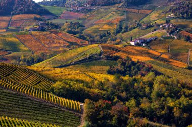Kuzey İtalya, Piedmont tepelerindeki güzel sonbahar üzüm bağları arasında kırsal evler yukarıdan görüldüğü gibi.
