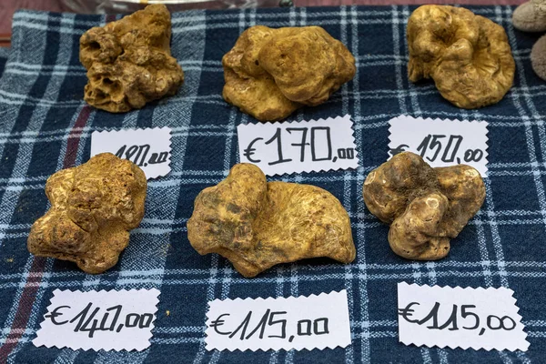 Vista Perto Famosas Trufas Brancas Barraca Mercado Alba Piemonte Norte — Fotografia de Stock