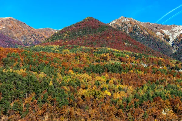 Blick Auf Bunte Herbstbäume Den Hängen Der Alpen Der Schweiz — Stockfoto